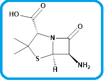 AMOXICILLIN EP IMPURITY A  |  AMOXICILLIN USP RC A